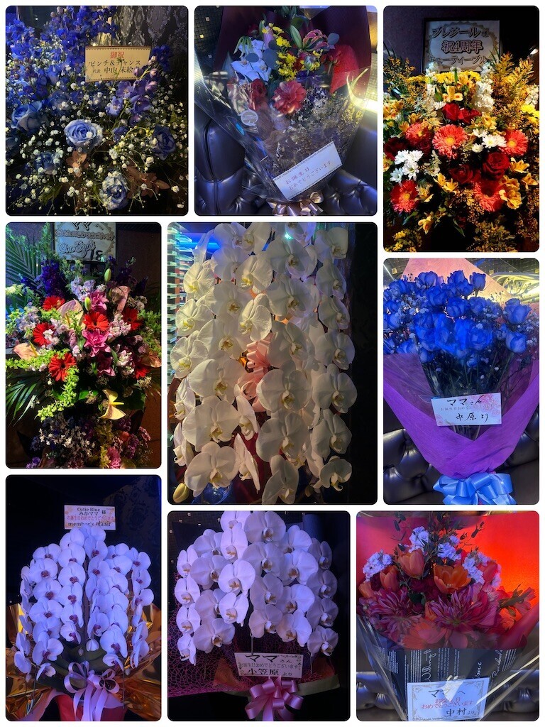 f:id:cutie_blue:20240318150531j:image f:id:cutie_blue:20240318150531j:image