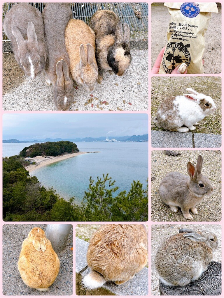 f:id:cutie_blue:20240319120358j:image