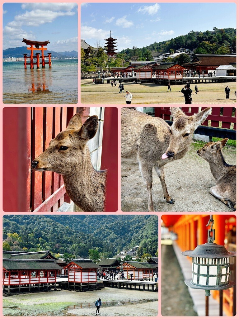 f:id:cutie_blue:20240319123159j:image