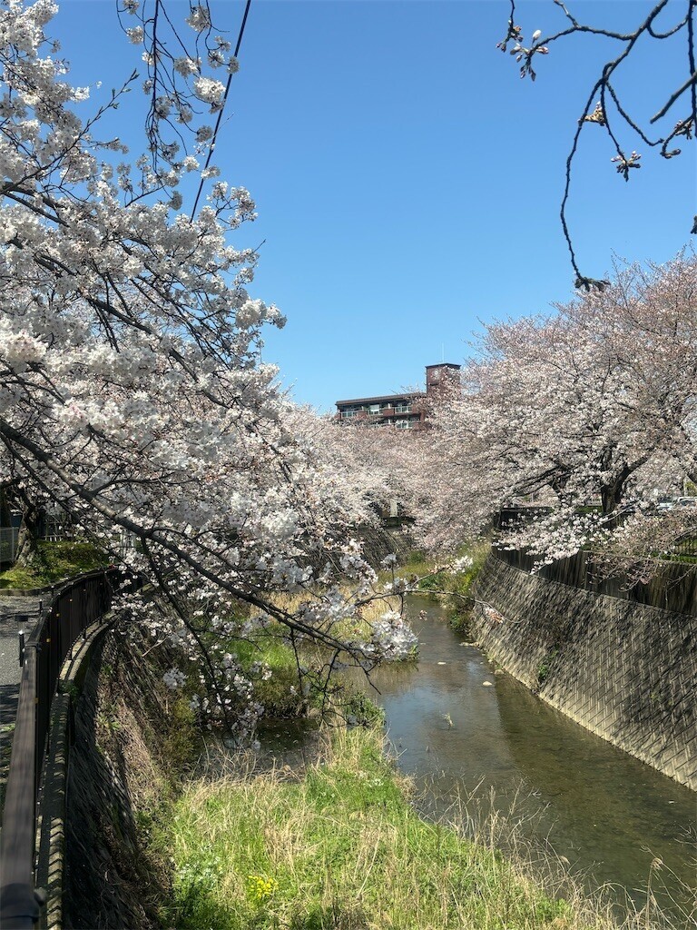 f:id:cutie_blue:20240401153419j:image