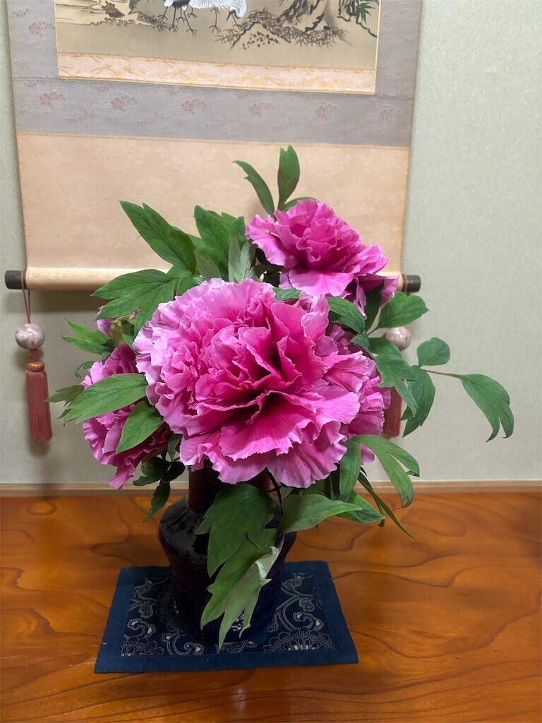 f:id:cutie_blue:20240415125809j:image f:id:cutie_blue:20240415125809j:image