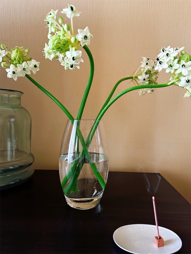 f:id:cutie_blue:20240416103857j:image