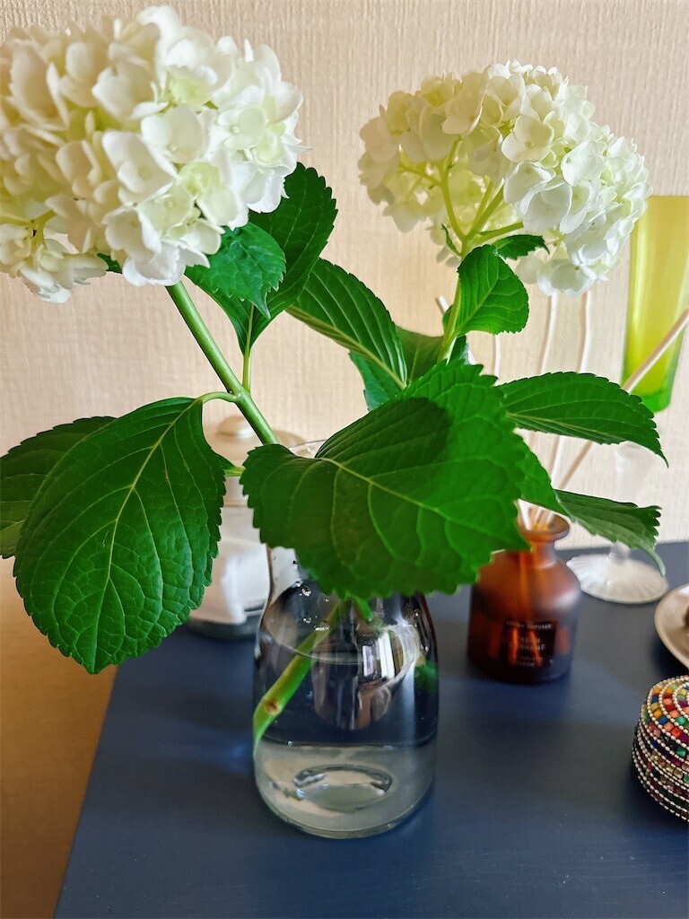 f:id:cutie_blue:20240416104406j:image