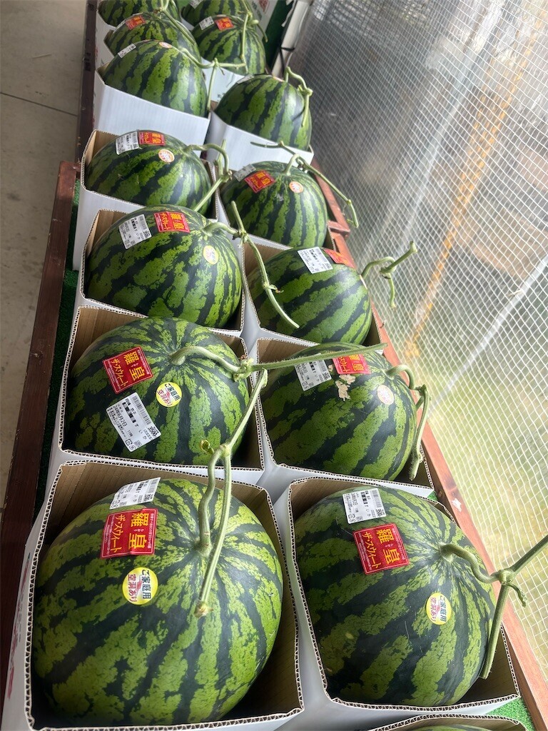 f:id:cutie_blue:20240603153200j:image