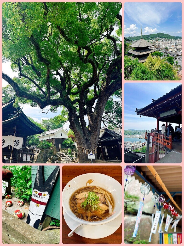 f:id:cutie_blue:20240604113731j:image f:id:cutie_blue:20240604113731j:image