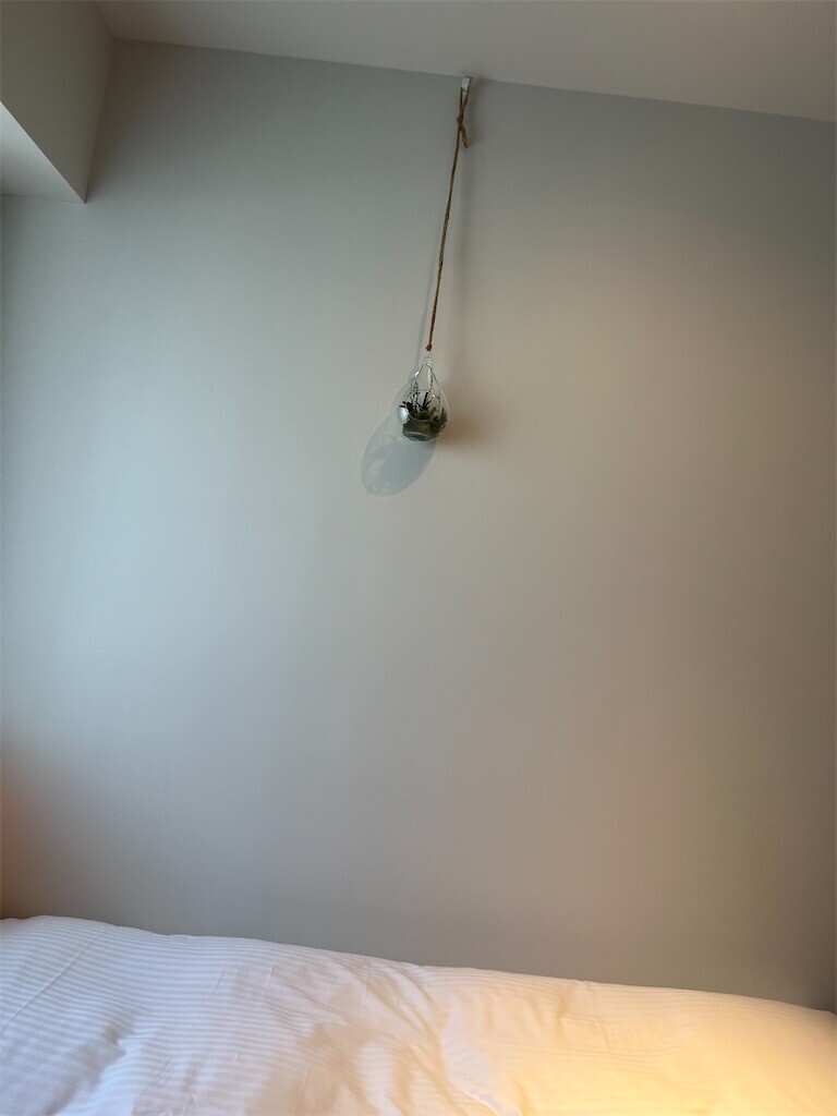 f:id:cutie_blue:20240621084254j:image