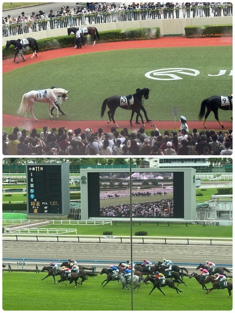 f:id:cutie_blue:20240701130217j:image f:id:cutie_blue:20240701130217j:image