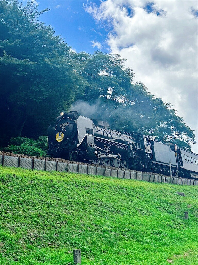 f:id:cutie_blue:20240723113048j:image f:id:cutie_blue:20240723113048j:image