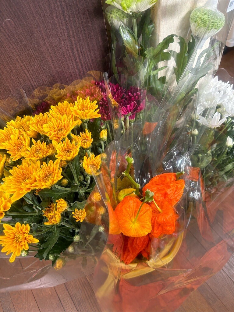 f:id:cutie_blue:20240812163557j:image