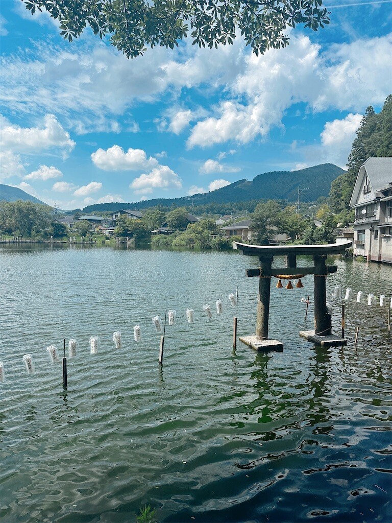 f:id:cutie_blue:20240813183716j:image f:id:cutie_blue:20240813183716j:image