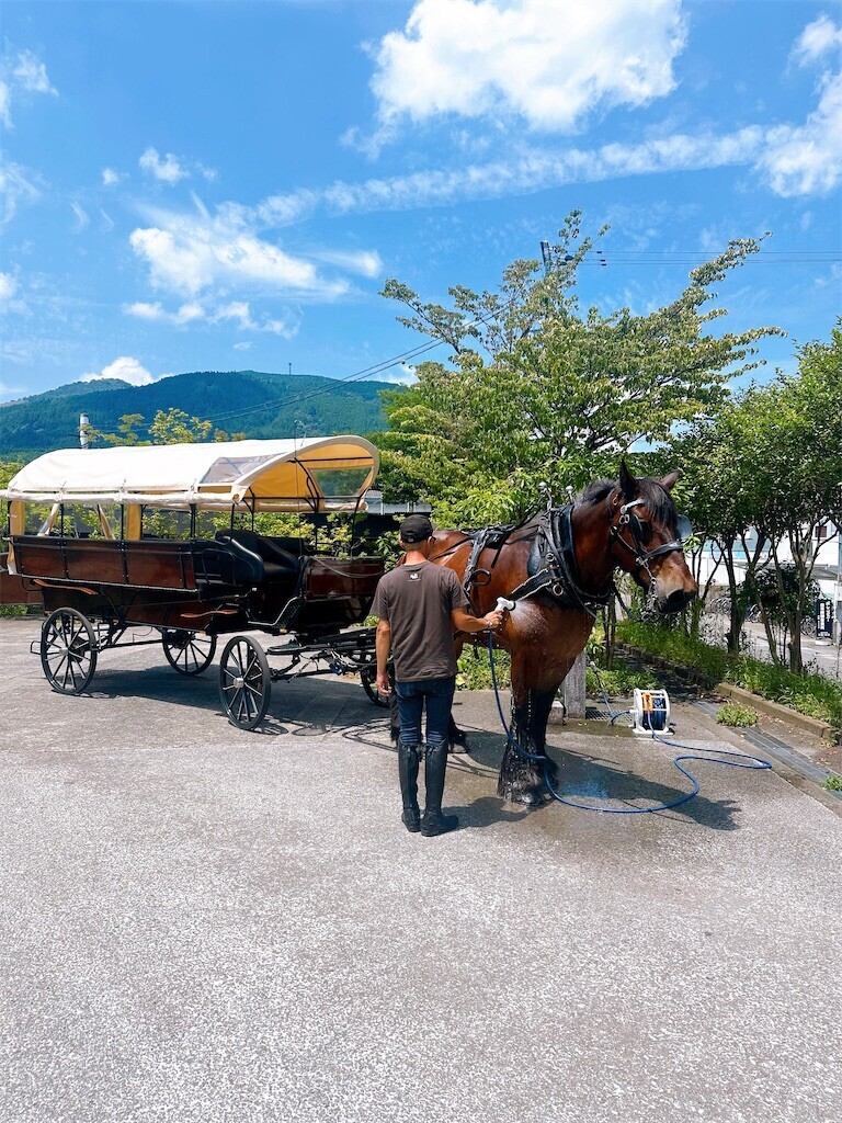 f:id:cutie_blue:20240813184837j:image f:id:cutie_blue:20240813184837j:image