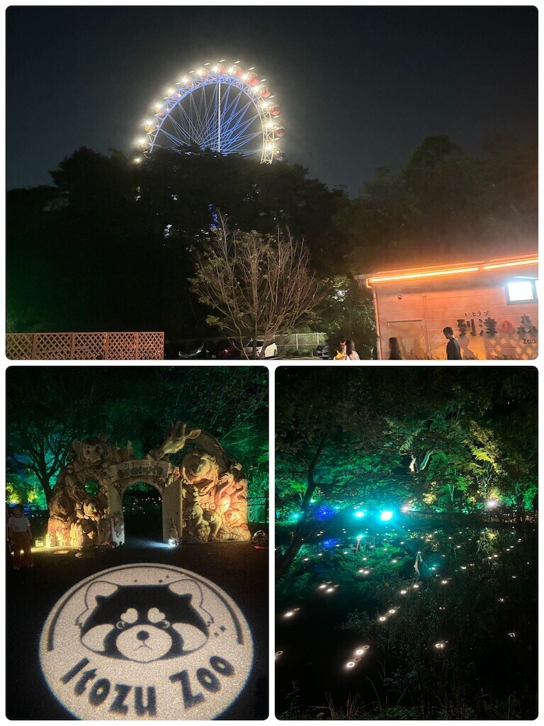 f:id:cutie_blue:20240826153615j:image f:id:cutie_blue:20240826153615j:image