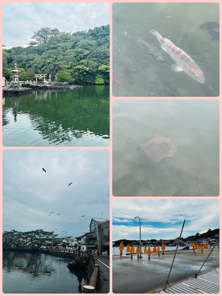 f:id:cutie_blue:20240827151853j:image