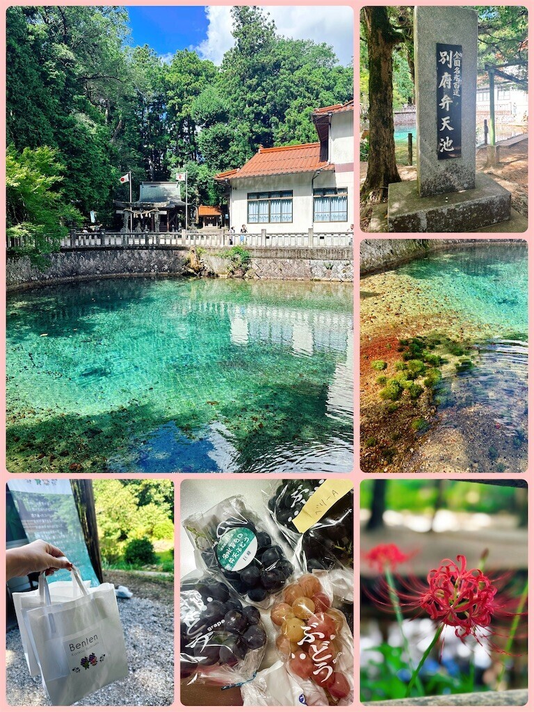 f:id:cutie_blue:20240917115543j:image f:id:cutie_blue:20240917115543j:image