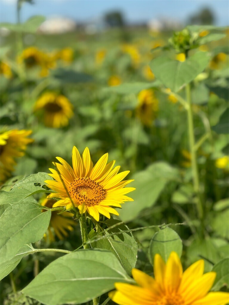 f:id:cutie_blue:20240930095816j:image f:id:cutie_blue:20240930095816j:image