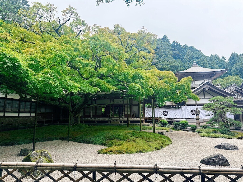 f:id:cutie_blue:20241008105009j:image