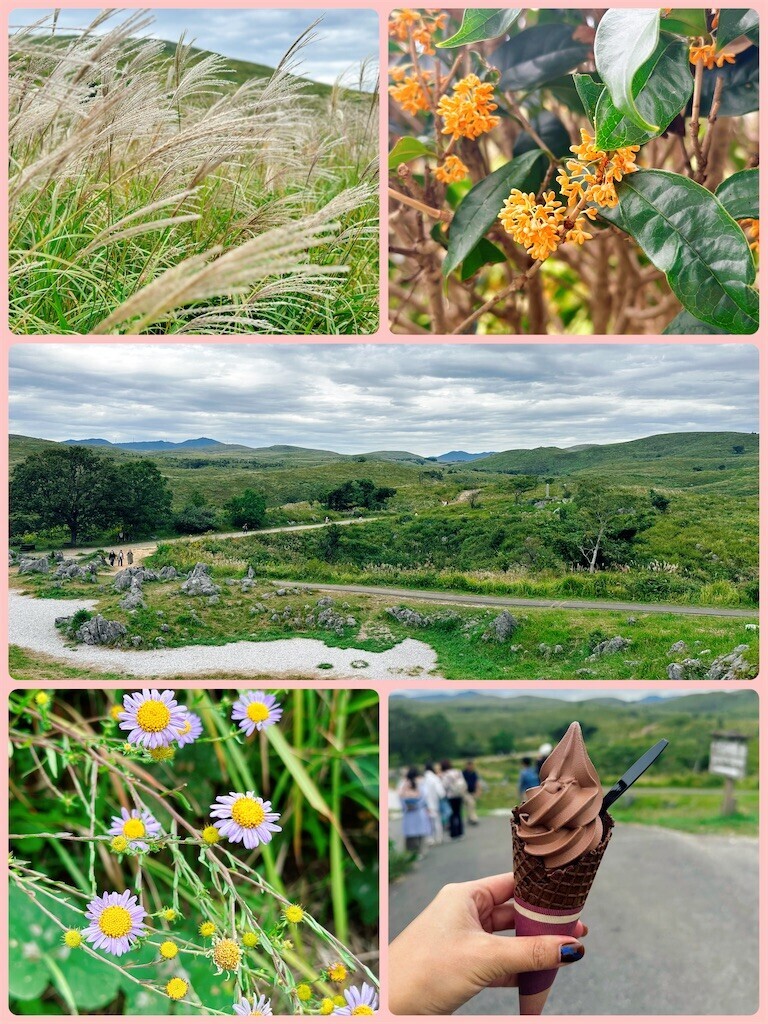 f:id:cutie_blue:20241015115254j:image f:id:cutie_blue:20241015115254j:image