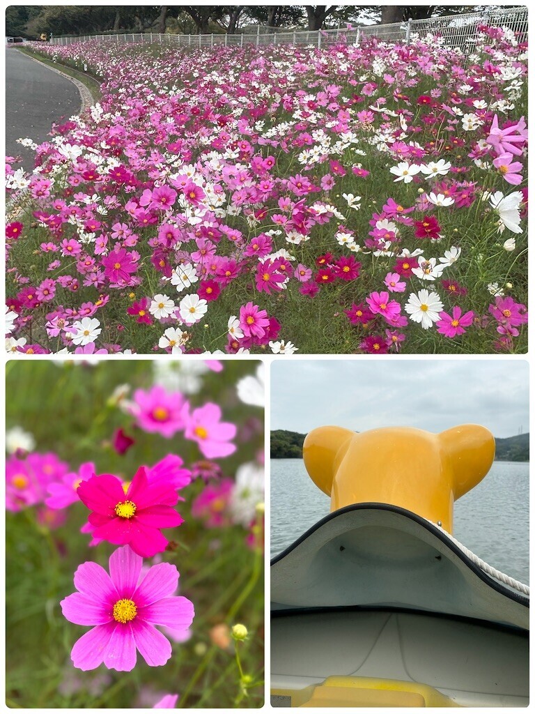 f:id:cutie_blue:20241028161645j:image f:id:cutie_blue:20241028161645j:image