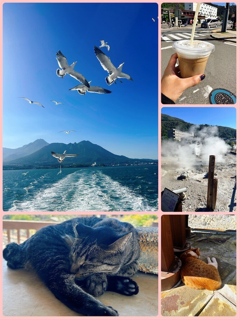 f:id:cutie_blue:20241105111723j:image f:id:cutie_blue:20241105111723j:image