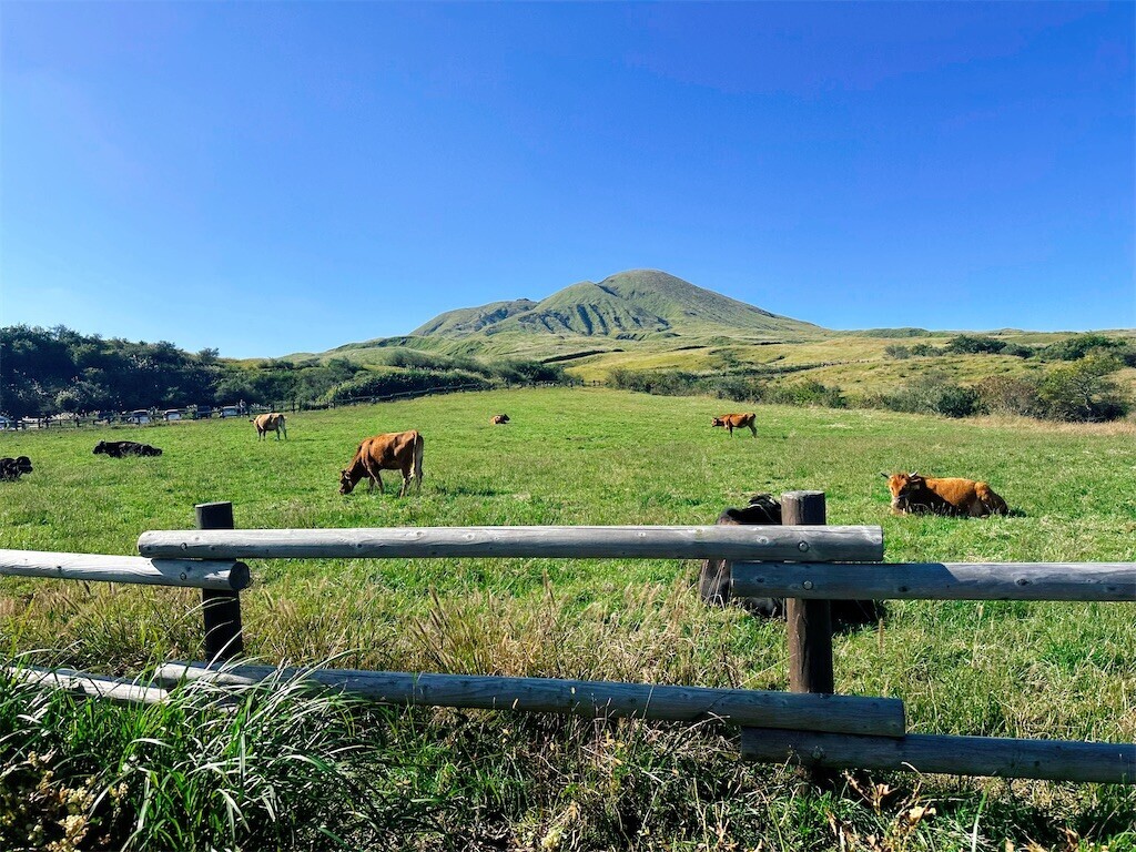 f:id:cutie_blue:20241105114158j:image f:id:cutie_blue:20241105114158j:image