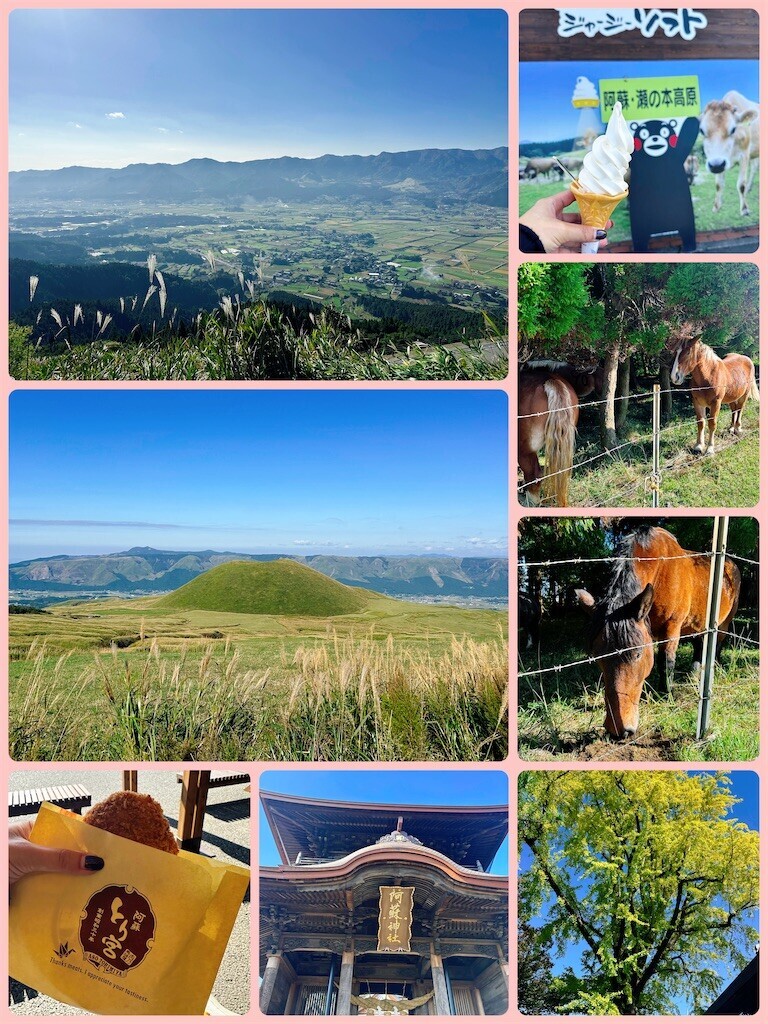 f:id:cutie_blue:20241105114453j:image f:id:cutie_blue:20241105114453j:image