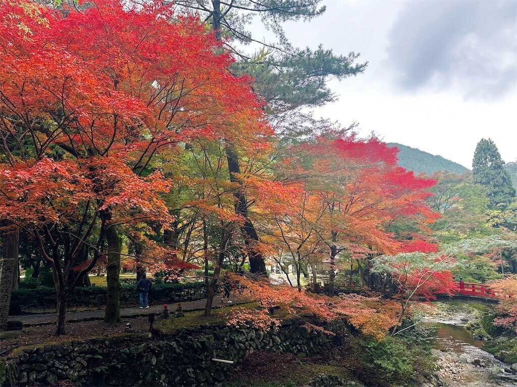 f:id:cutie_blue:20241119114330j:image f:id:cutie_blue:20241119114330j:image