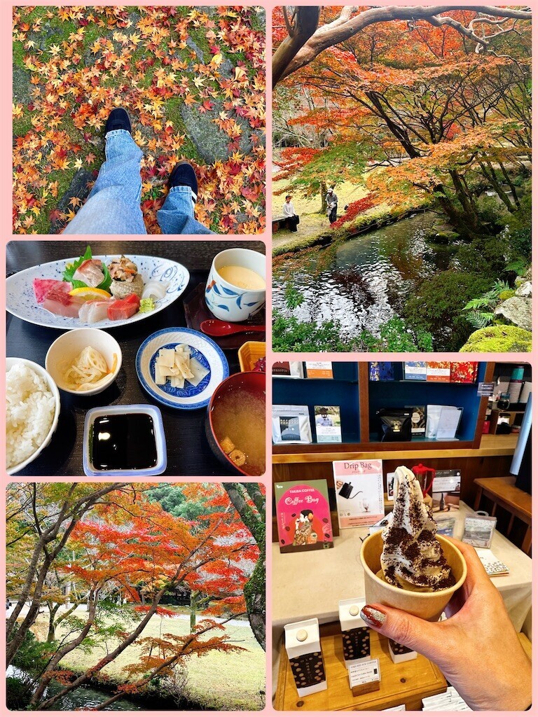 f:id:cutie_blue:20241119115232j:image f:id:cutie_blue:20241119115232j:image