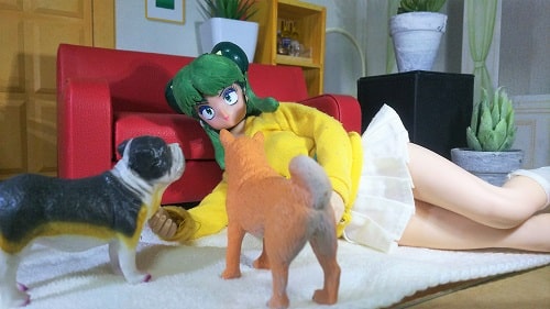 lum