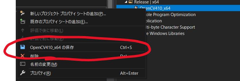 f:id:cv_lover:20190614213159j:plain f:id:cv_lover:20190614213159j:plain