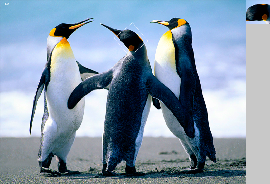 f:id:cvl-robot:20170515212006p:plain f:id:cvl-robot:20170515212006p:plain