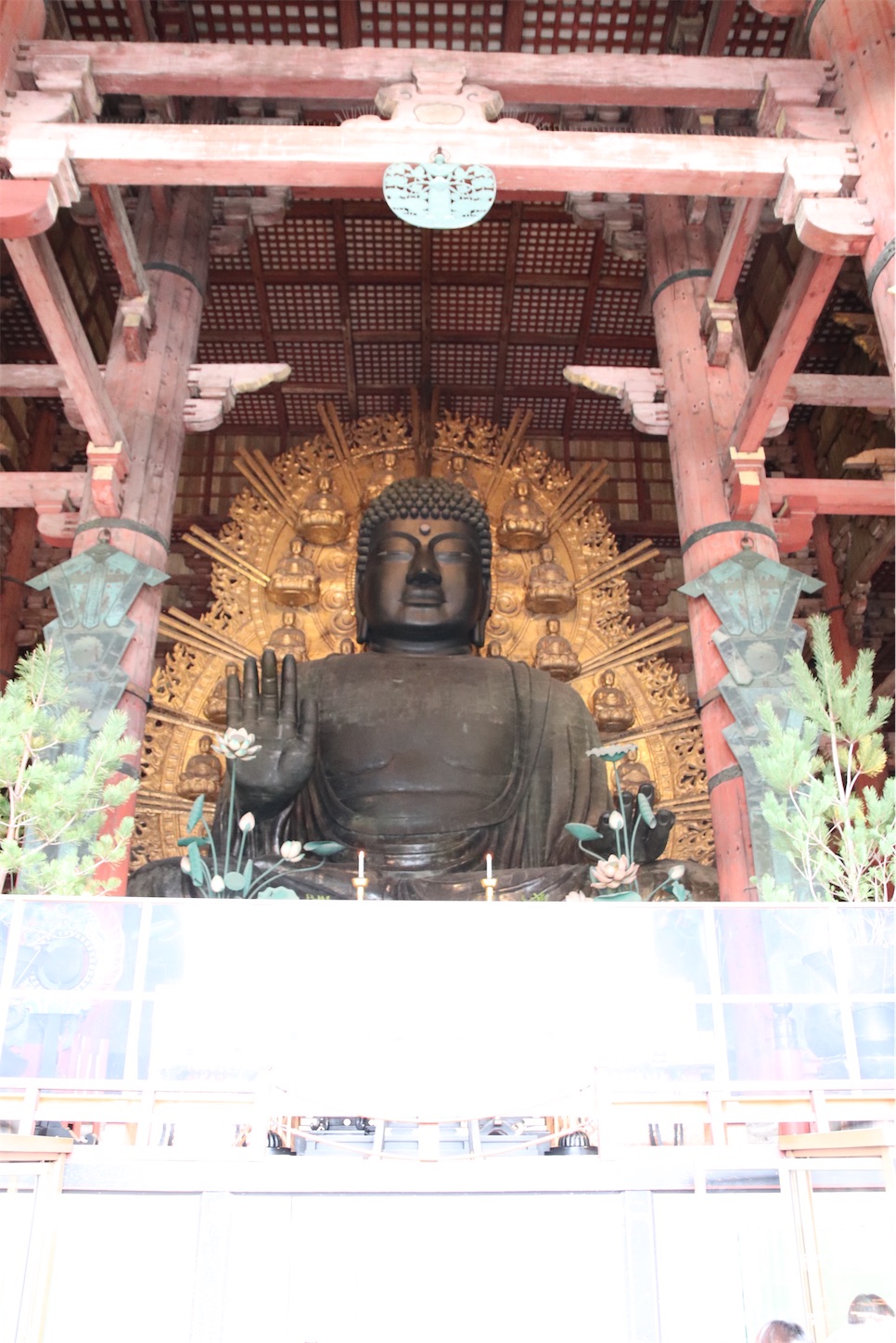 f:id:cx5blog:20191229192122j:image