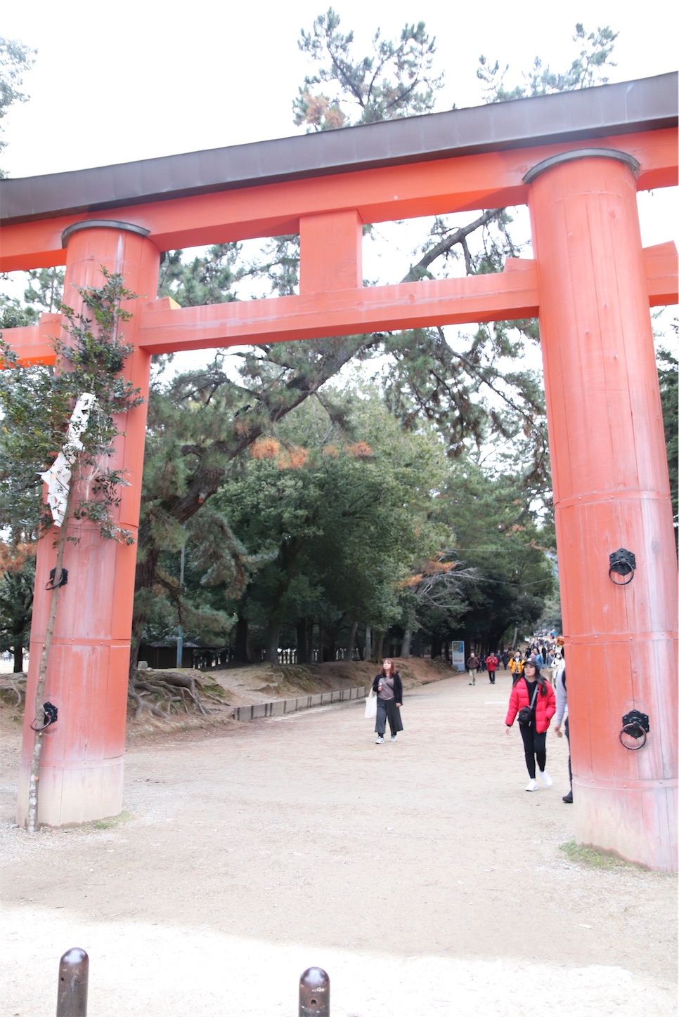 f:id:cx5blog:20191229192212j:image