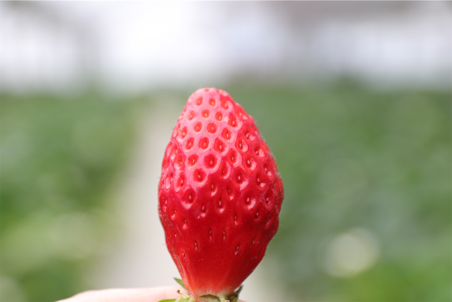 f:id:cx5blog:20220327234835j:plain