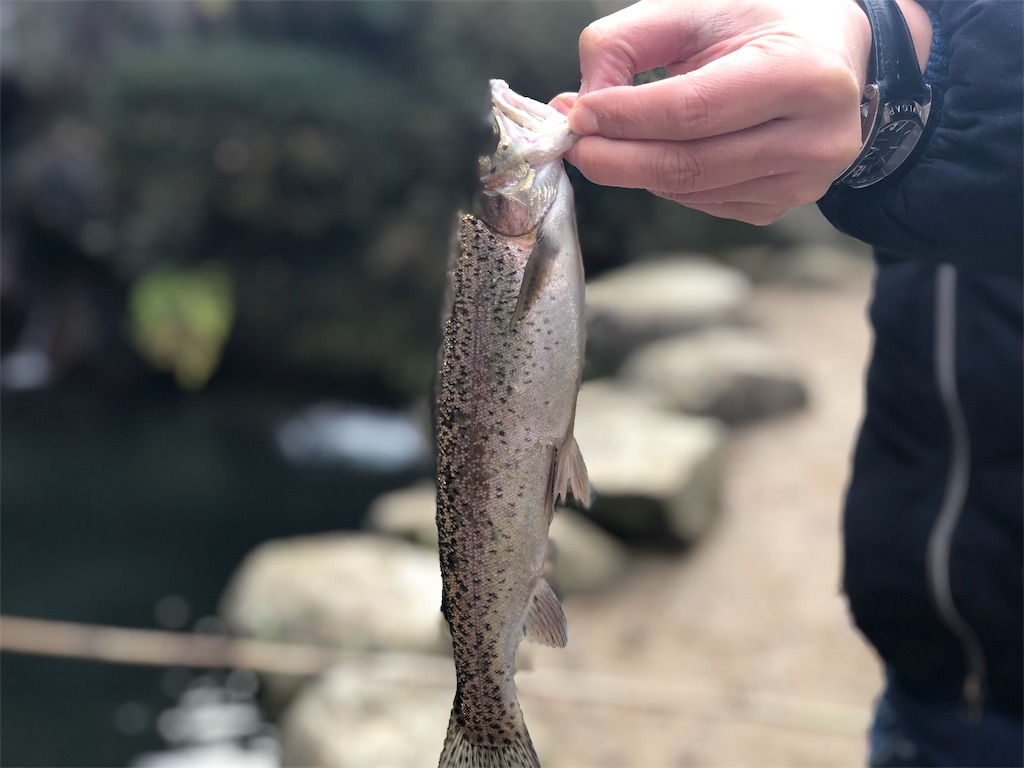 f:id:cxobank:20190123085956j:image