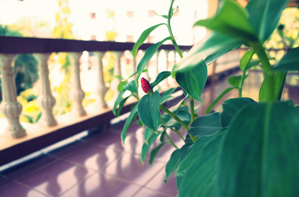 f:id:cxx02377:20180311185539j:plain