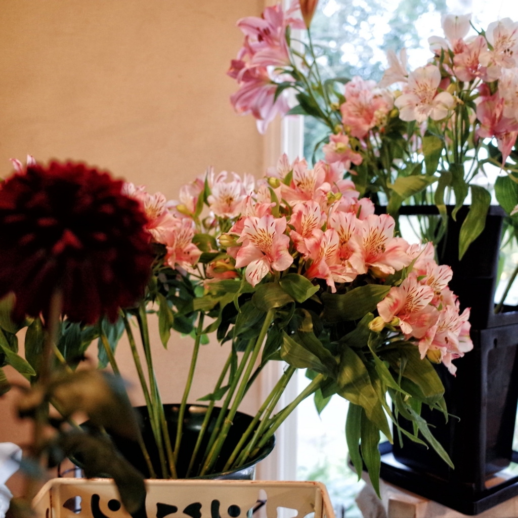 f:id:cxx02377:20180406182017j:plain