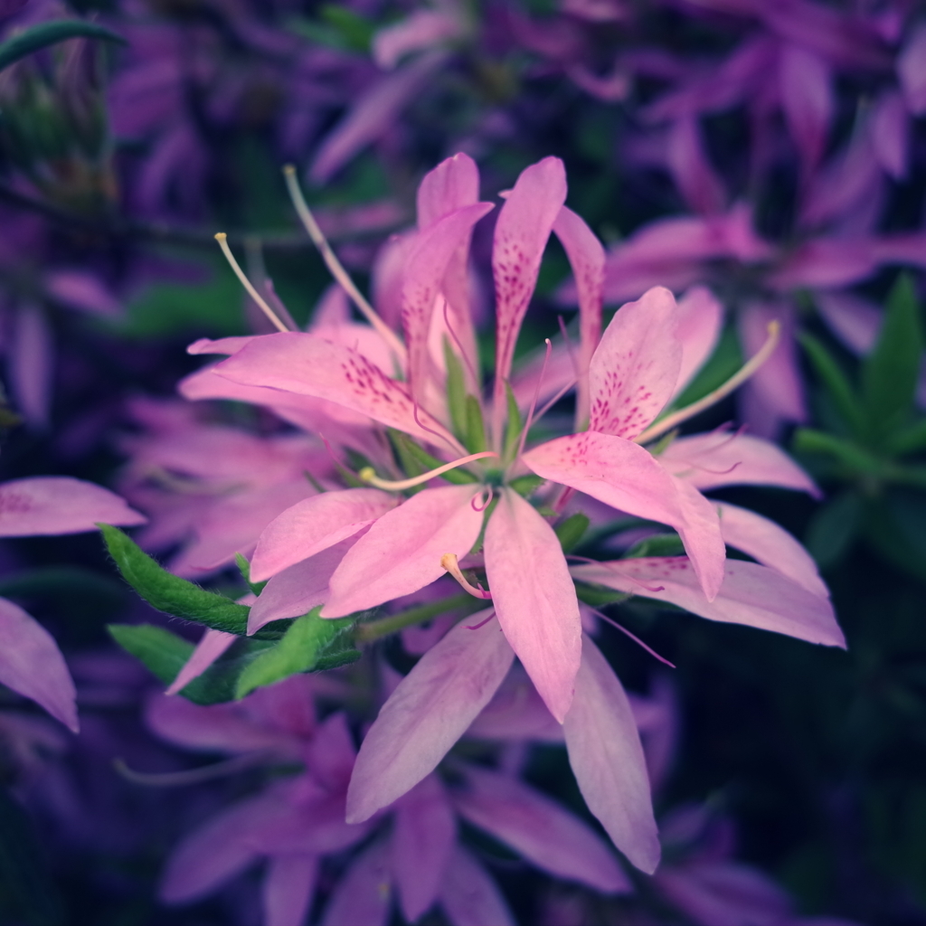 f:id:cxx02377:20180418200606j:plain