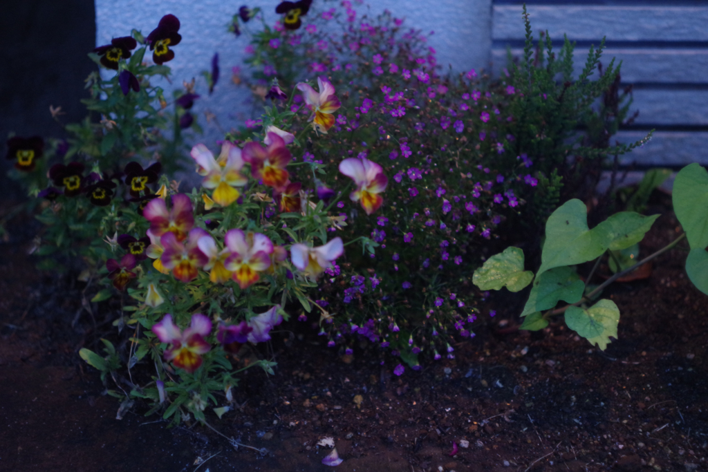 f:id:cxx02377:20180620212807j:plain
