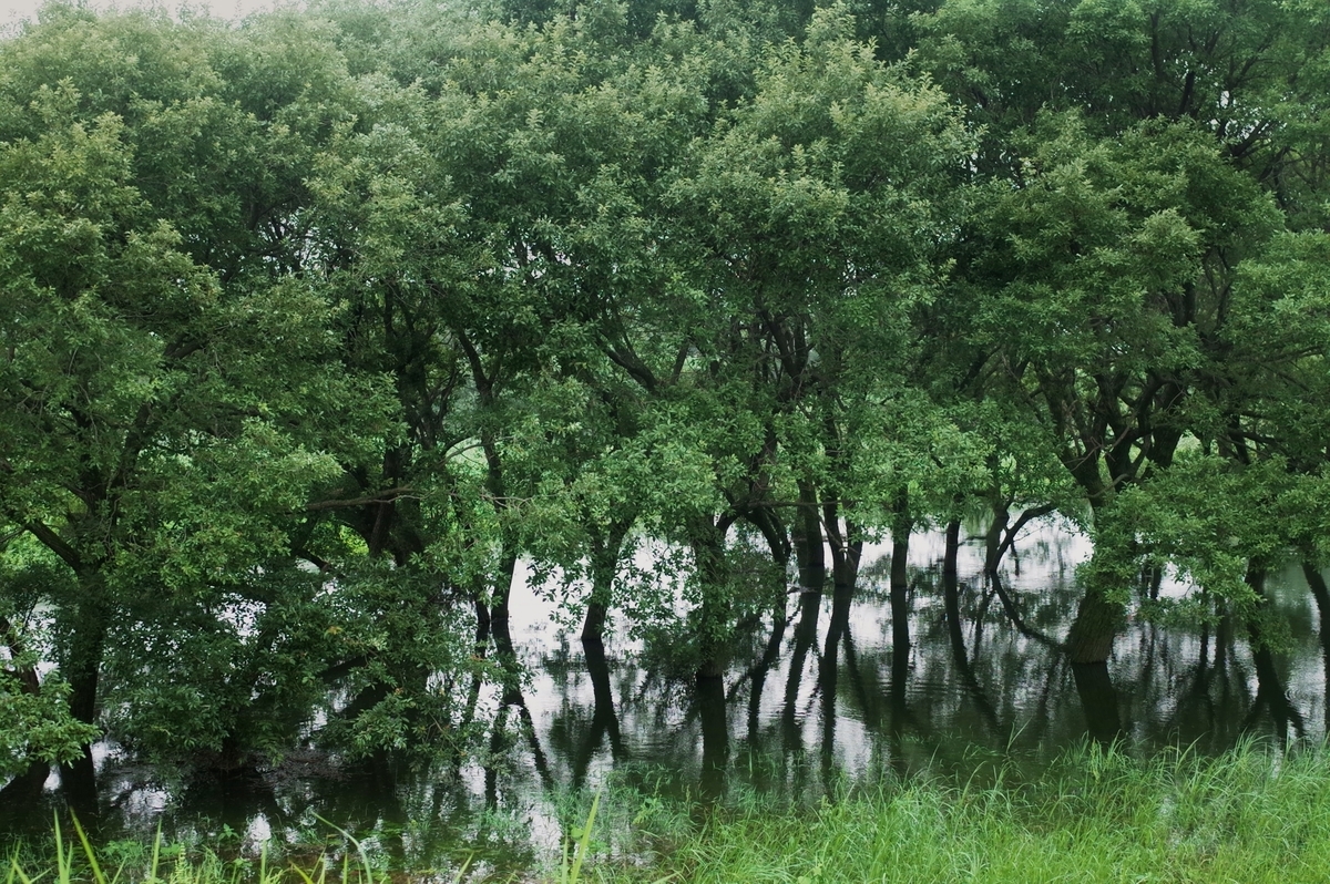 f:id:cxx02377:20190721174551j:plain