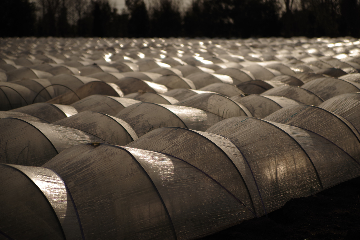 f:id:cxx02377:20200301154837j:plain