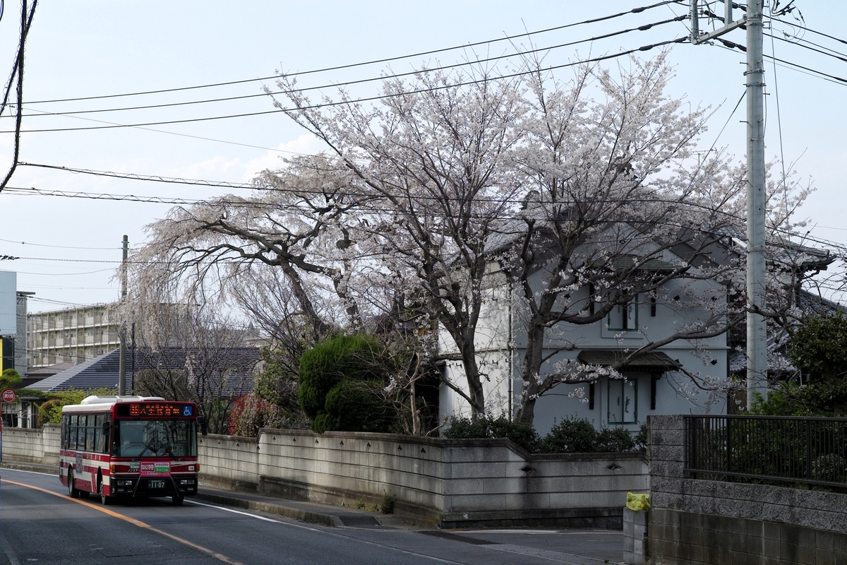 f:id:cxx02377:20200324193237j:plain