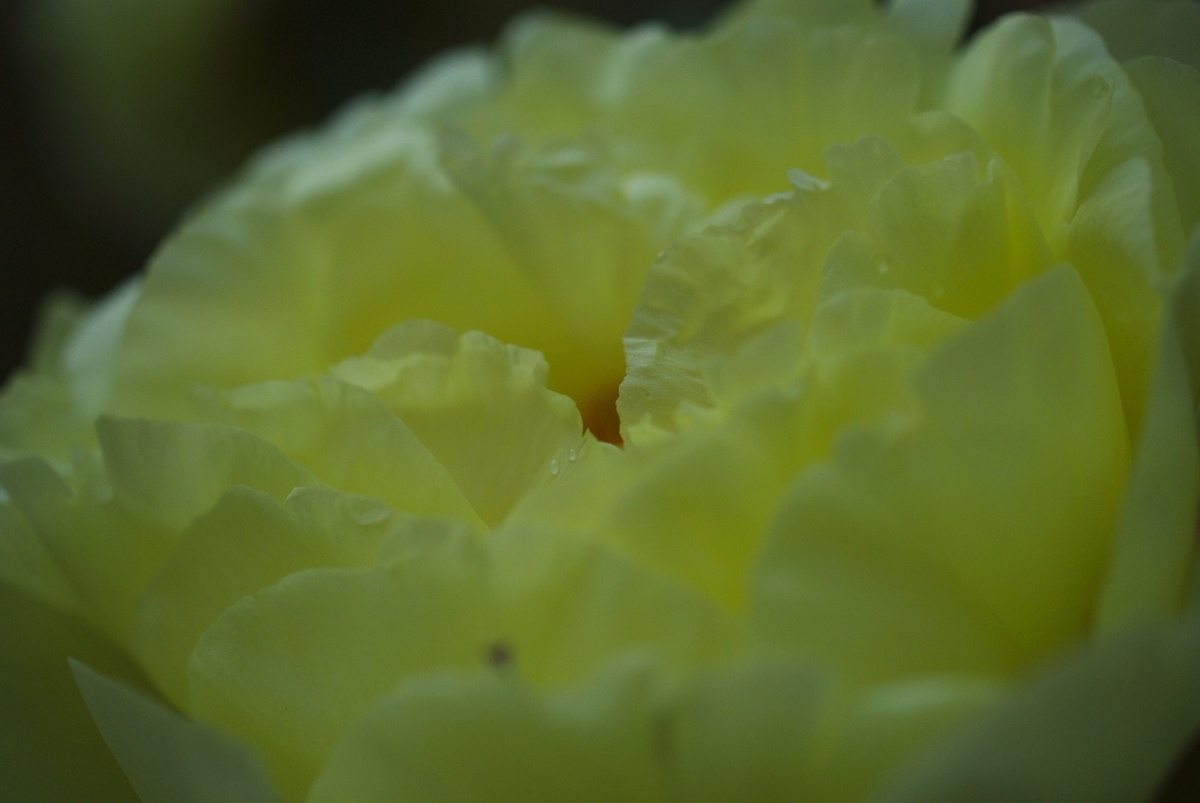 f:id:cxx02377:20200425181927j:plain