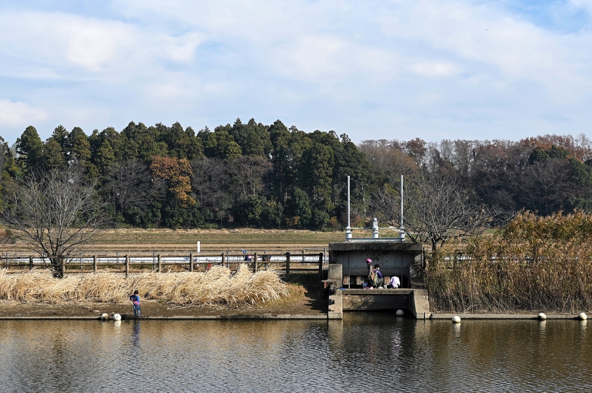 f:id:cxx02377:20201212215906j:plain