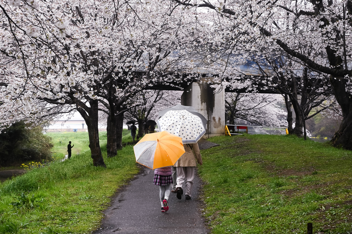 f:id:cxx02377:20210330202344j:plain