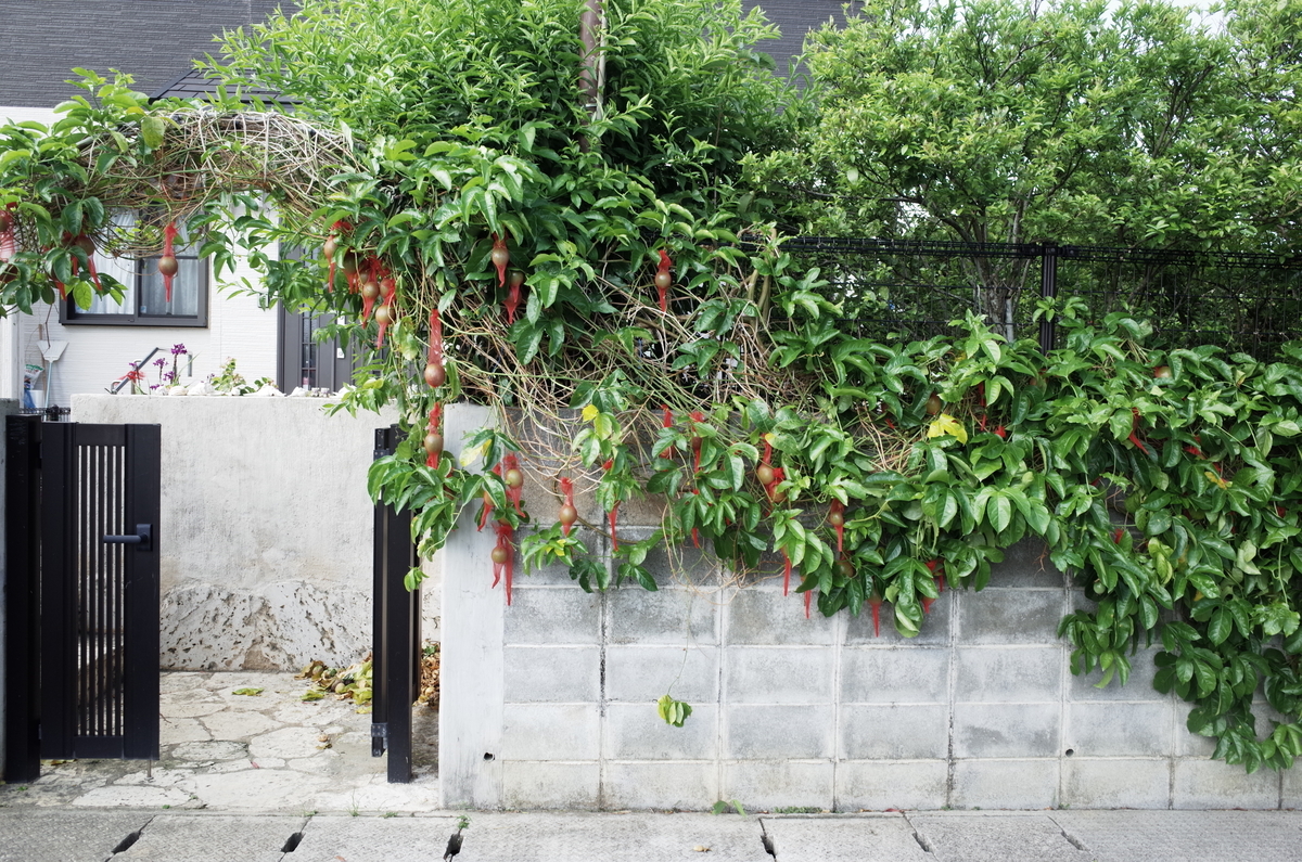 f:id:cxx02377:20210520201835j:plain