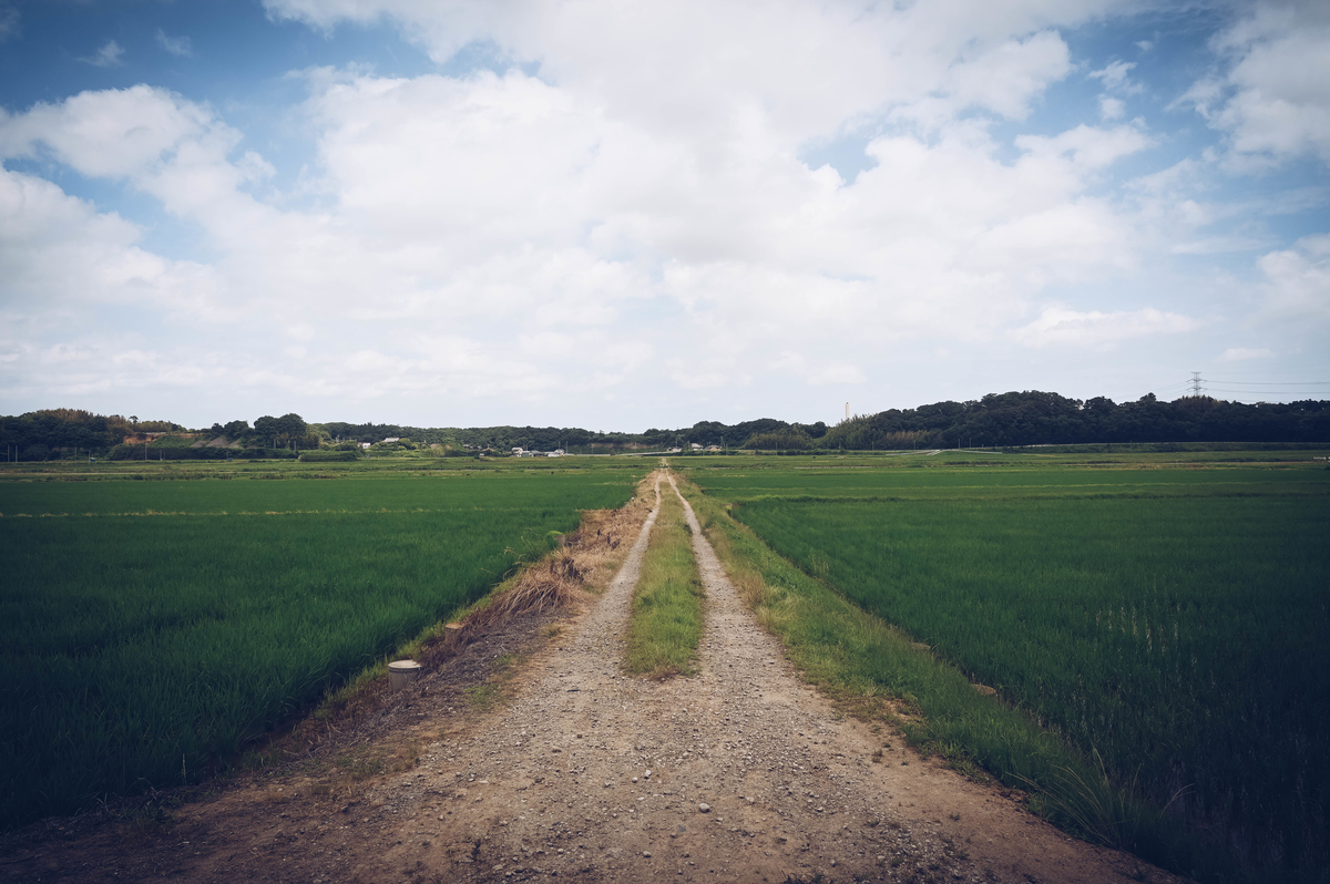 f:id:cxx02377:20210620193715j:plain