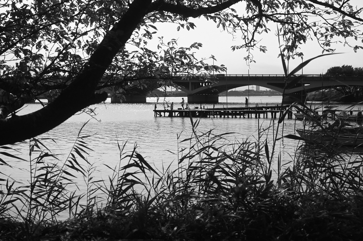 f:id:cxx02377:20210924223936j:plain