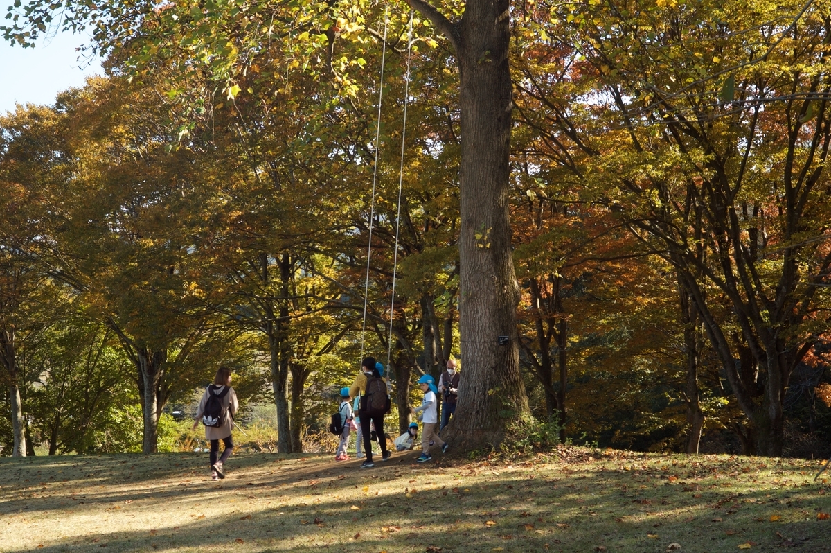 f:id:cxx02377:20211105141100j:plain