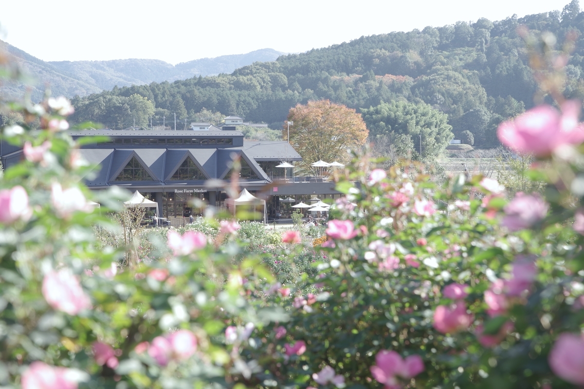 f:id:cxx02377:20211106093906j:plain