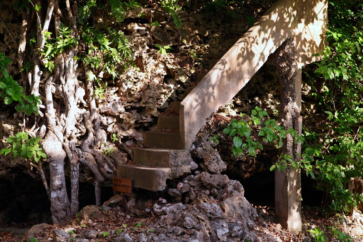 f:id:cxx02377:20211112182451j:plain